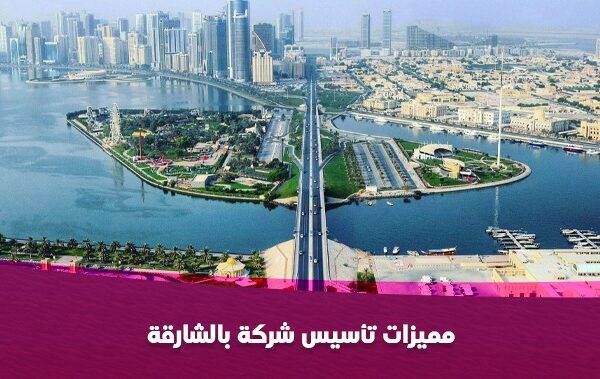 مميزات تاسيس شركة بالشارقة